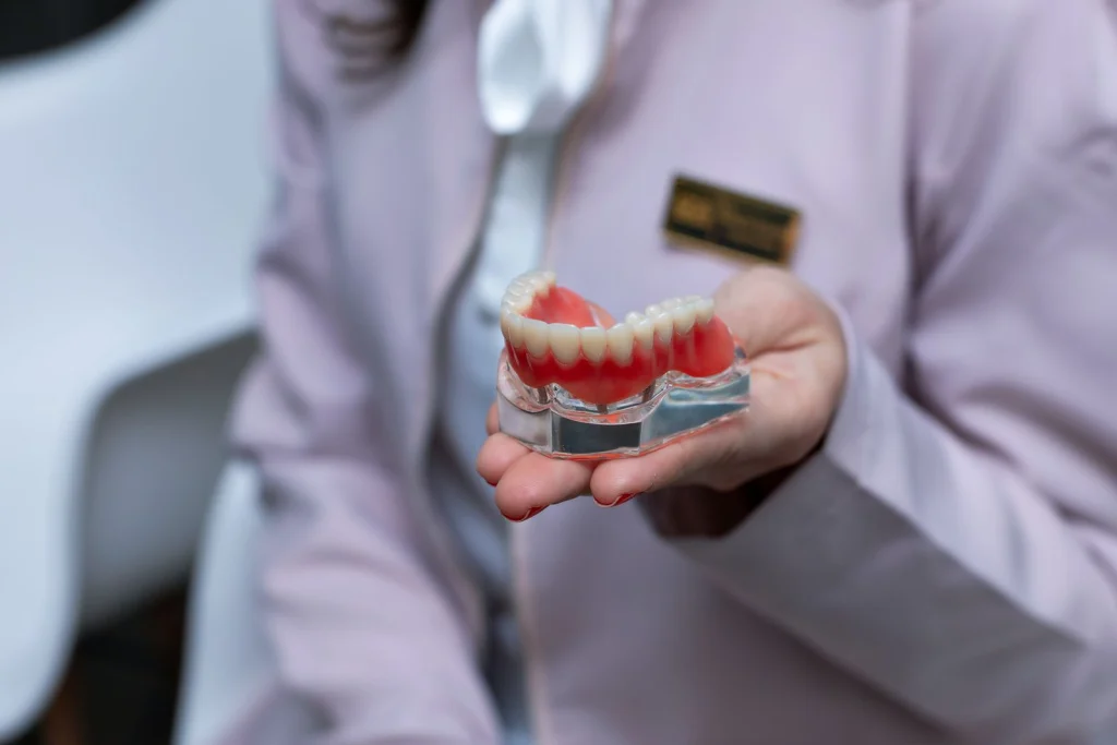 Dentist in lab coat holding a dental model indoors for patient education.